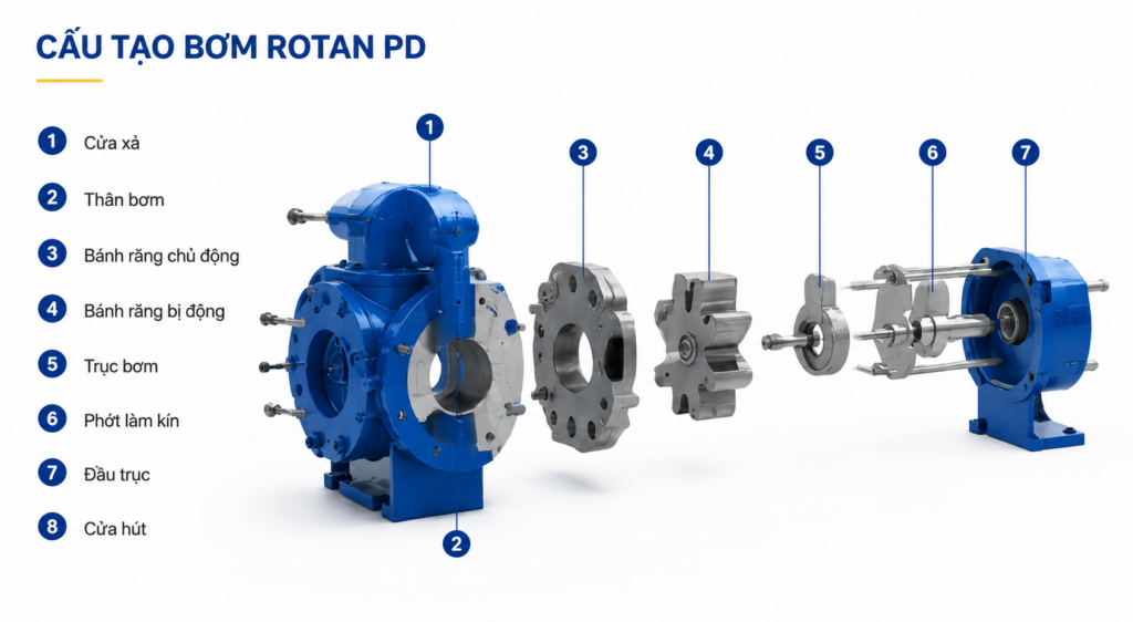 cấu tạo rotan pd